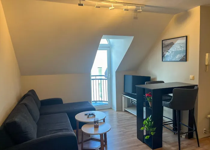 Parken Central - Downtown Home With 2Br, Balcony, Private Parking And Elevator