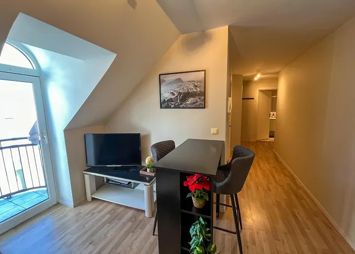 Parken Central - Downtown Home With 2Br, Balcony, Private Parking And Elevator
